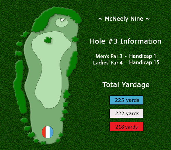 Hole 3 Information